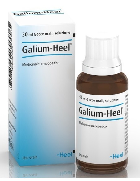 Galium gtt 30ml heel